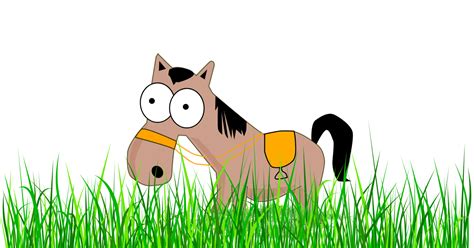 best staking plan for laying horses